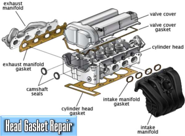 how much will i pay for a head gasket repair