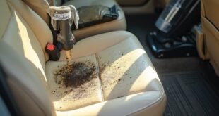 mold removal from vehicle